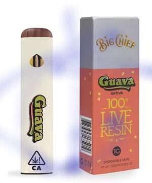 Big Chief Disposable Vapes For sale Online